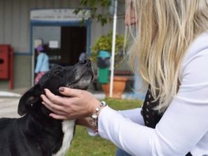 Uno dei 2 uomini l’ha afferrata per un braccio: volevano abusare di lei ma, in quel momento, un piccolo cane randagio ha iniziato ad abbaiare facendo scappare gli aggressori. Quello che ha fatto poi la donna 