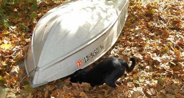 Il drammatico racconto di un superstite: “Il mio cane ha scavato con me per cercare i miei figli sepolti sotto le macerie”