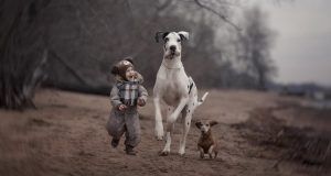 Voleva riuscire a immortalare, nelle sue fotografie, il legame inscindibile che si crea tra un bambino e il suo cane “gigante”. Secondo voi ci è riuscito?