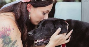 Il cane in fin di vita, non si sarebbe perso il matrimonio della sua amata umana, ma quel giorno era troppo debole per accompagnarla all’altare…Ecco la commovente storia.