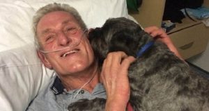 L’uomo si trovava in coma da diversi giorni. Poi la moglie portò il suo amato cane a fargli visita in ospedale e ciò che successe lasciò i medici a bocca aperta…