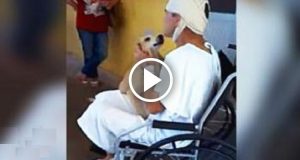 Erano otto giorni che il cane aspettava il suo umano fuori dall’ospedale. Il personale resta commosso dalla fedeltà del cagnolino e decide di fargli una sorpresa. Un momento davvero commovente.