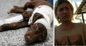 AGGIORNAMENTO: E’ stato identificato e detenuto il mostro che ha scorticato vivo Chocolate, il cucciolo di tre mesi che si è spento dopo aver lottato per la sua vita per una settimana.