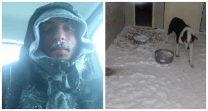 +++ MASSIMA CONDIVISIONE  Aiutooooo…. Abbiamo bisogno di voi e delle vostre condivisioni per i cani del canile di Campobasso. L’ondata di gelo e neve mette a rischio la loro sopravvivenza. Ecco per vedere cosa potete fare per aiutarli!