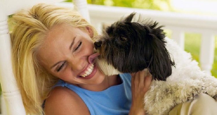 Permettete al vostro cane di leccarvi e la gente vi critica? Ecco 8 buoni motivi per continuare a farlo!