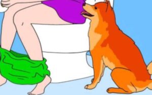 Se il vostro cane vi segue sempre al bagno vi sta dicendo una cosa importante