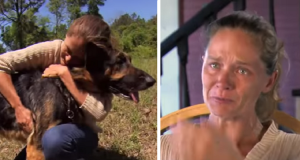 Finisce fuori strada ad alta velocità: “quando mi sono svegliata ho sentito questa enorme presenza, sentivo il suo respiro, era un cane. Saltò nella parte posteriore dell’auto e svenni di nuovo. Quando ripresi conoscenza lui mi teneva dalla giacca e mi tirava letteralmente…credo che se non fosse stato per lui, oggi non sarei qui”