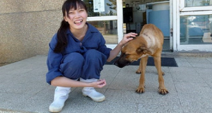 Veterinaria si suicida perché costretta ad eutanasiare gli animali del rifugio dove lavorava. La sua morte non è stata invana. Grazie a lei oggi Taiwan dichiara illegale il sacrificio di animali.