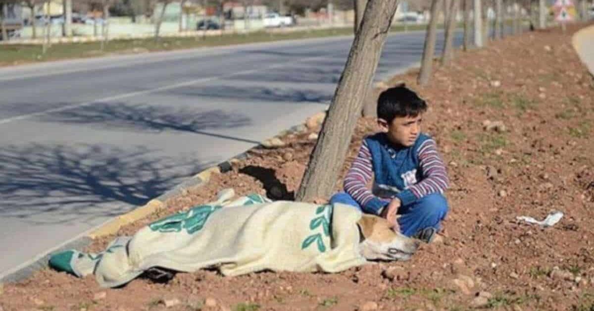 Si prende cura di un cane ferito per strada, la storia di questo ...