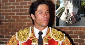 Per la prima volta nella storia, un torero viene condannato per maltrattamento di animali…