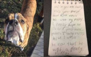 Cane lasciato al rifugio con una storia straziante scritta da una bambina che lo amava