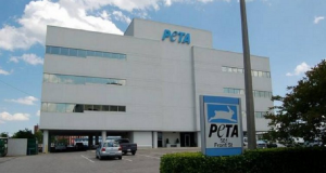 Will Coggin vuole che la gente conosca la politica di sterminio dell’associazione PETA: “il loro è un vero e proprio mattatoio per animali domestici camuffato da rifugio.”