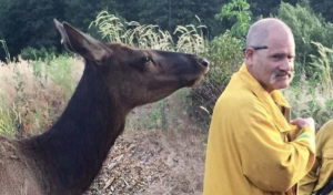 Scene da brivido, gettano un gattino da un suv, le auto corrono come missili e lo sfiorano più volte ma poi accade qualcosa che cambia il corso degli eventi