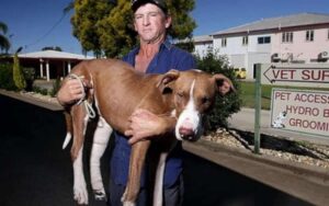 Camminò per due giorni con il suo cane in braccio, per salvargli la vita. Ecco la sua storia.