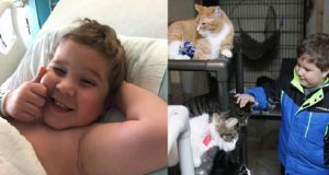 Ha solo 6 anni ed è gravemente malato. Per il suo compleanno ha rinunciato a tutti i regali che avrebbe ricevuto per fare una richiesta a tutti gli invitati, voleva aiutare gli animali di un rifugio in difficoltà.