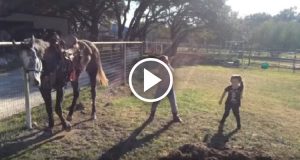 Le bambine accendono la musica e iniziano un ballo scatenato…quello che fa il cavallo vi lascerà a bocca aperta.