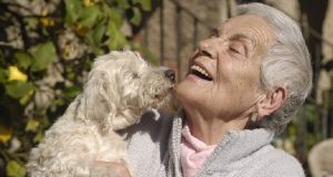 Heliopolis, la prima casa di riposo per anziani aperta a cani e gatti si trova proprio in Italia.