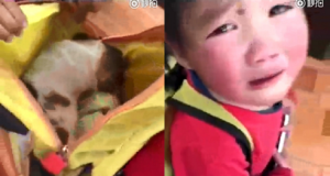 A soli 4 anni, Kiki salva un cagnolino randagio dalla strada. Quando gli adulti scoprono il cane, Kiki scoppia in lacrime supplicando che non gli facciamo del male. La bambina è diventata un simbolo del cambiamento che sta avvenendo in cina a favore dei cani…