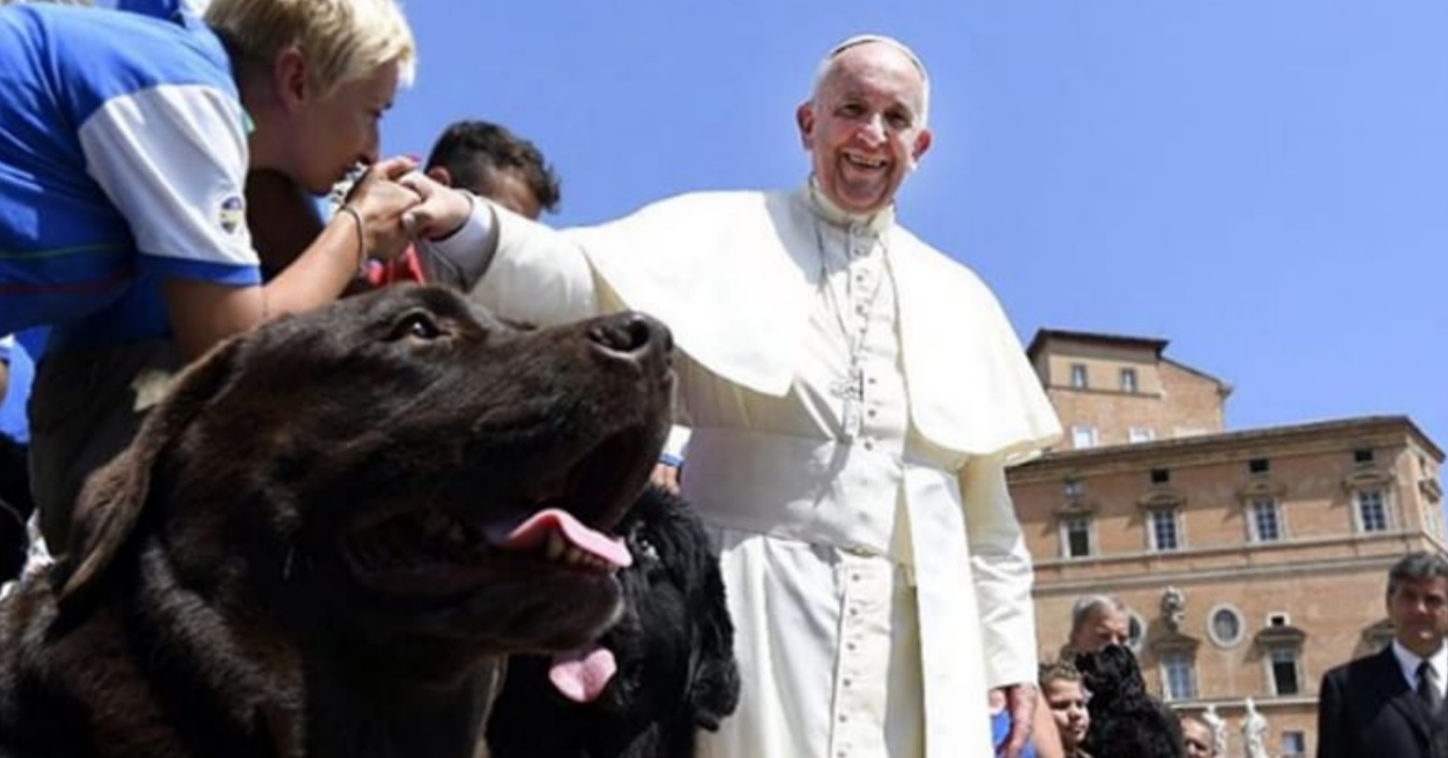 Papa Francesco dice la sua sugli animali e sulla loro reale fine dopo la morte. Le sue parole stanno facendo il giro del mondo perché…
