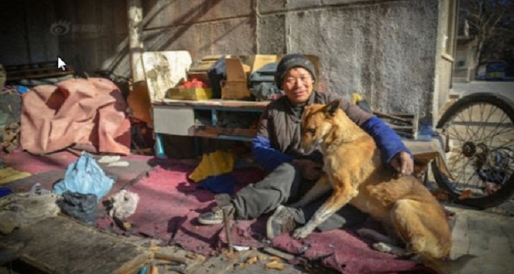 “Quando siamo entrati nel cortile abbiamo visto i 3 cani legati, senza cibo e senza acqua. Il proprietario ci ha raccontato che Chi Chi, una delle femmine, aveva partorito e aveva mangiato tutti i suoi cuccioli. Per lui era tutto normale… per noi era un incubo dal cui speravamo di svegliarci il prima possibile”