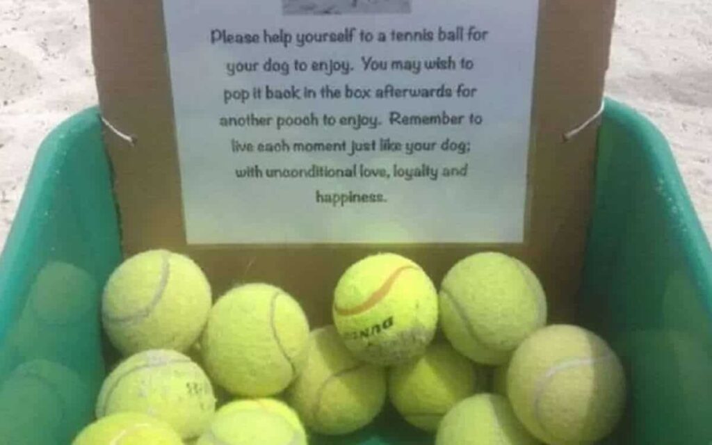 Il memoriale in spiaggia per il cane deceduto fornisce palline da tennis per altri cuccioli