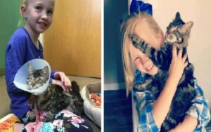 Famiglia si è recata al rifugio per adottare un gatto, la loro bambina si innamora di un gatto cieco