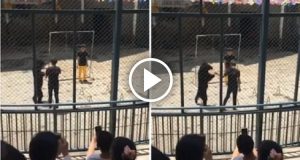 L’orso sta facendo uno spettacolo nello zoo, durante l’esibizione sbaglia un’esercizio. La reazione del suo addestratore ha fatto esplodere la rabbia nel web.