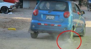 Insisteva che era stato un incidente e voleva farlo sopprimere ma il veterinario capì subito che quello che aveva in bocca non era frutto ne di un incidente ne di botte.