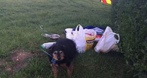 “La tragedia che si è afflitta su di noi credo che non la dimenticherò mai. Quel giorno sono uscita in giardino e ho visto quel cane, solo, sotto l’acqua. Aveva qualcosa in bocca… quando ho capito cos’era… no dai non era possibile!”
