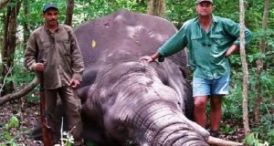 Si chiamava Theunis Botha e nella sua vita aveva ucciso centinaia di animali per divertimento e avidità. Adesso è morto in un modo che solo la natura poteva operare, in un modo che dimostra che il Karma (forse) esiste davvero.