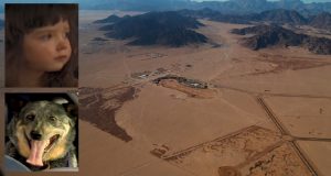 “Sorvolavamo il deserto, in cerca della bambina dispersa. La notte nel deserto è molto pericolosa, non poteva farcela. Solo la mattina dopo abbiamo avvistato la piccola e quando abbiamo capito com’era sopravvissuta siamo rimasti tutti commossi”