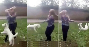 La ragazzina e la sua amica, si annoiavano così hanno pensato che sarebbe stato divertente far volteggiare il cagnolino per aria, attaccato al guinzaglio e postare il video su Facebook.