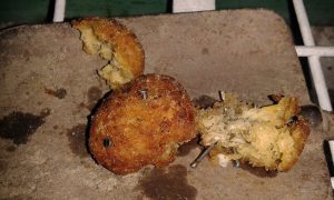 L’hanno agganciato a un filo e l’hanno fatto scivolare usando la forza delle loro braccia. Il cane era visibilmente spaventato e tremava perché non sapeva cosa gli sarebbe successo ma…