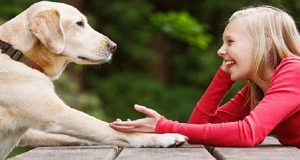 Lo sapete che solo alcune persone hanno la capacità di parlare con i propri animali domestici? Questo fenomeno si chiama antropoformizzazione e la scienza ci spiega le meraviglie di questo dono.