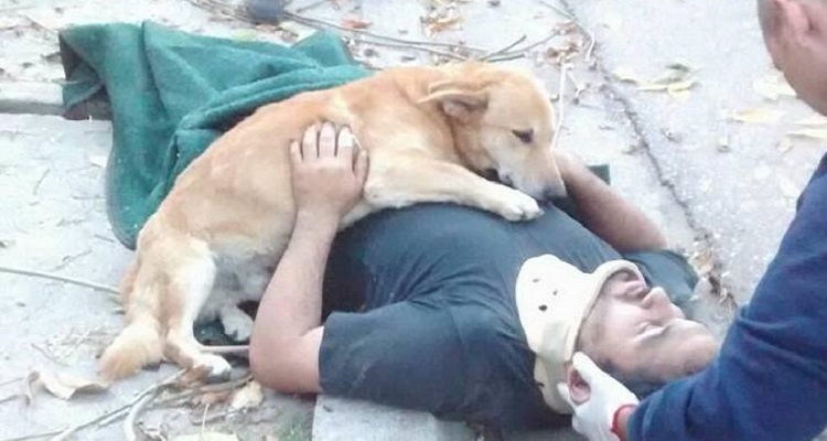 Quella cagnolina stava stesa per terra e si rifiutava di camminare. Non capiva perché era lì. Conosceva bene quel posto e non voleva ritornarci: riconosceva l’odore delle gabbie e della solitudine. Ma l’uomo che l’aveva riportata in canile sembrava indifferente. Ha firmato i documenti e se n’è andato. Poi ho scoperto una cosa ancora più terribile: Athena era stata…