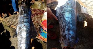 Pescano un grosso pesce nelle Filippine, ma quando vedono quello che c’è nella sua pelle restano senza parole. Le immagini stanno facendo il giro del web.