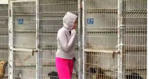 Si reca in un canile per adottare un cane, alla fine del corridoio non resiste e in lacrime rivela il vero motivo che l’ha condotta in quel posto. Meraviglioso direi!
