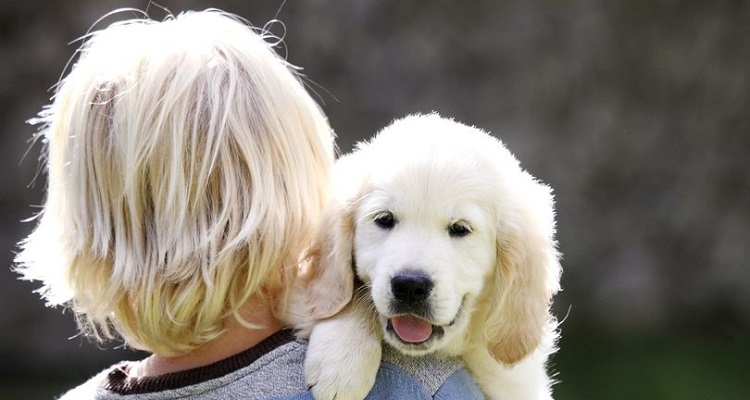 Non riuscivo a trovare la cagnolina da nessuna parte e quando finalmente l’ho vista mi si è messo un nodo nella gola: era stesa per terra, senza vita, nel nostro giardino. Era terribile ma la cosa peggiore è venuta dopo quando, guardando il filmato delle nostre telecamere di sicurezza, ho capito cos’era successo 