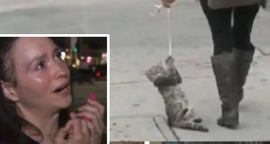 Dei passanti hanno notato una donna trascinare un gatto per strada tramite una corda.