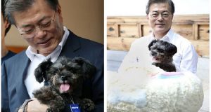 Presidente della Corea del Sud, adotta un cane salvato dal commercio di carne e invia un importantissimo messaggio.