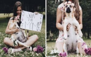 La cagnolina è incinta, la sua mamma raccoglie questi momenti in un servizio fotografico
