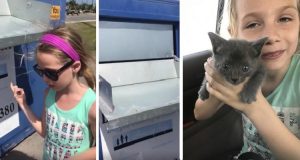 Christy Ilfery Tinsley e la sua famiglia volevano donare dei vestiti ai bisognosi. Ma proprio quando hanno aperto lo sportello del contenitore, hanno sentito un rumore sospetto: qualcuno aveva lasciato un gattino all’interno.