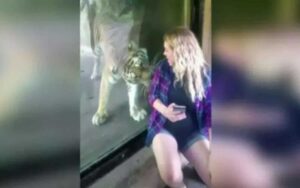 Incinta di 27 settimane decide di fare un selfie con una tigre.
