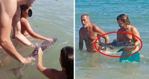 Baby delfino: un’altra vittima dell’ignoranza umana. Turisti stressano il piccolo neonato per farsi dei selfie.