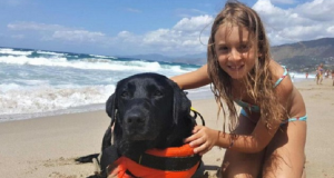I genitori erano infastiditi dalla presenza dei cani sulla spiaggia, la loro bambina li aveva sempre temuti. Quello che non sapevano, è che la loro vita sarebbe cambiata per sempre.