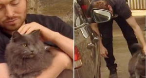 Salva dalla strada un gatto con un occhio solo e lui ricambia nel modo più inaspettato: “Ogni mattina mi svegliava con un dolce miagolio, all’ora di colazione. Quella mattina però c’era qualcosa di strano: il miagolio di Manny era diverso, quasi allarmante”