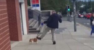 “Ho visto il video su internet. Quel povero cagnolino veniva preso a calci dal suo proprietario. La gente guardava, qualcuno si è avvicinato, ma nessuno è intervenuto per salvare il cane. Sono andato dritto a casa del tizio e  “