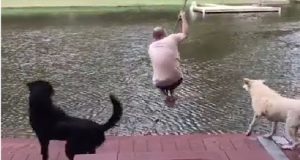 Il suo papà umano stava dondolando quando, all’improvviso, è caduto nel lago. Guardate cosa fa il cane nero