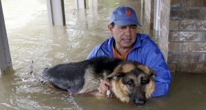 Per questi proprietari, salvare i loro animali domestici durante l’uragano Harvey era fondamentale. Le foto parlano da sole!