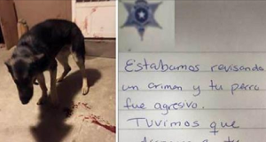 Vanno in chiesa, al loro ritorno trovano il loro amato cane gravemente ferito e una nota attaccata all’ingresso.